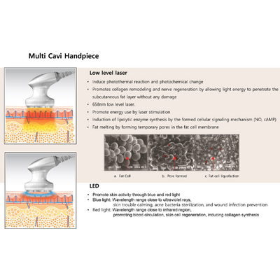 Dermafirm USA – Agafar LineS Professional Skincare Solutions