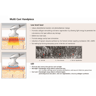Dermafirm USA – Agafar LineS Professional Skincare Solutions