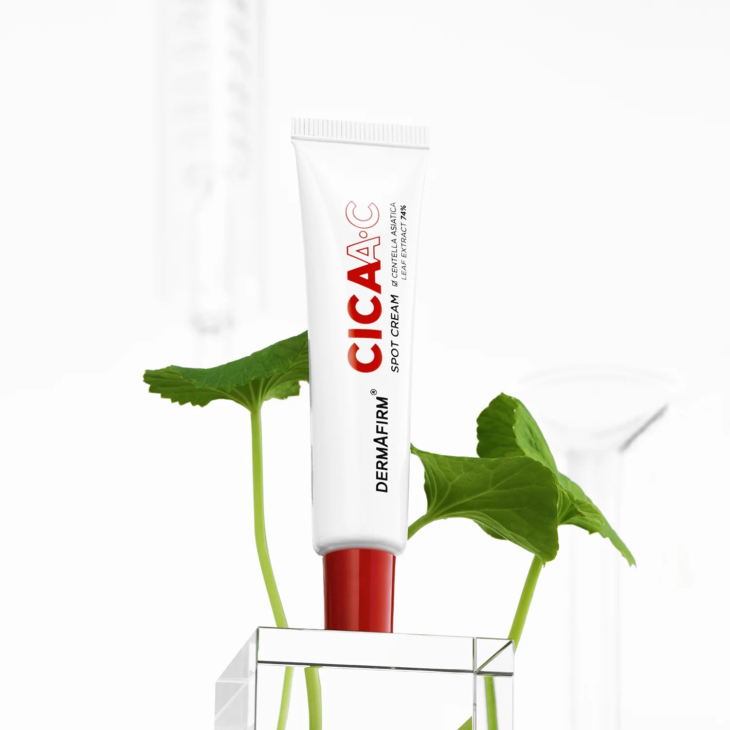 CICAA.C Cleansing Foam & Spot Cream