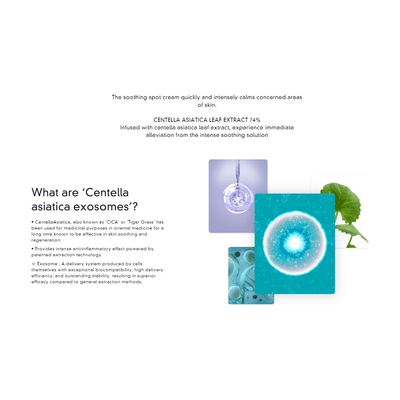 CICA - Tone-Up Cream - 50ml