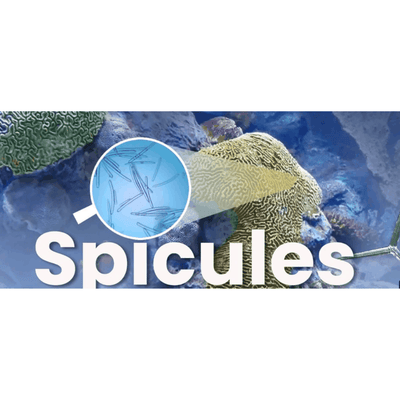 IDENEL - Revitalizing Nourishing Cream (10ml x 2)