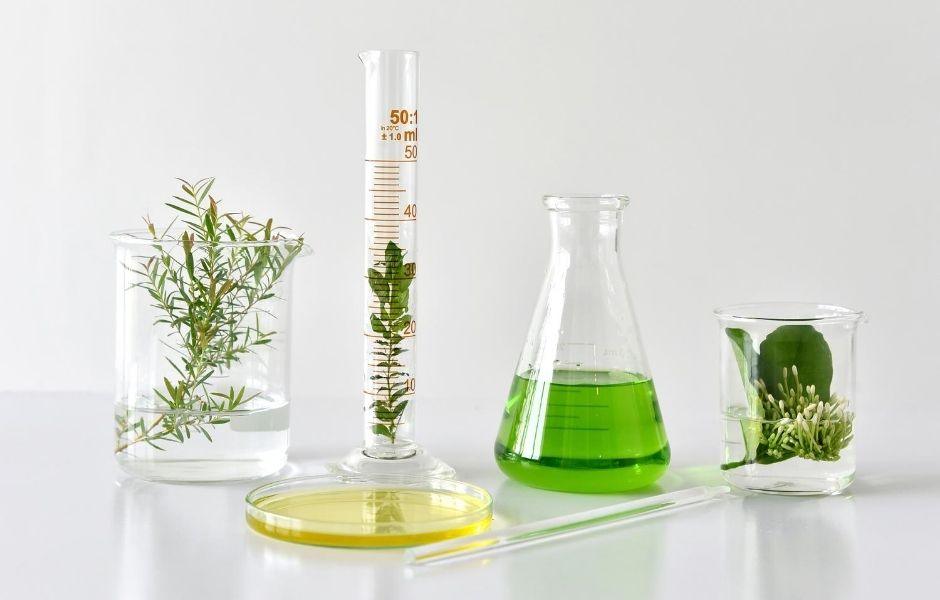 Skincare Science — More than Skin-Deep  - Dermafirm USA