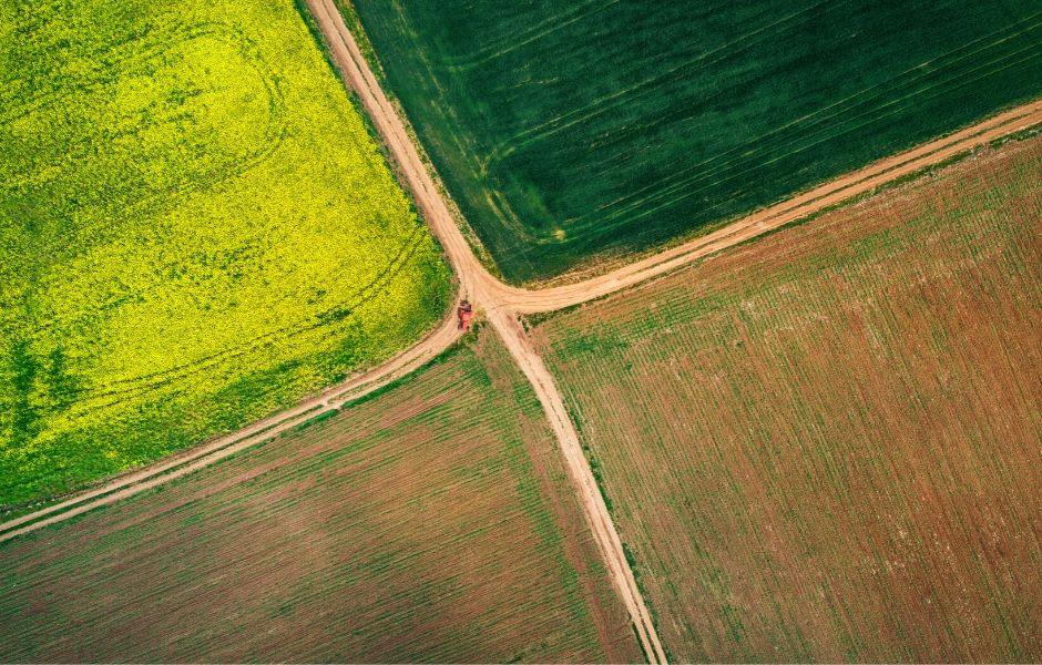 Industry Updates: Agriculture, Biotechnology and Entomology Collide - Dermafirm USA