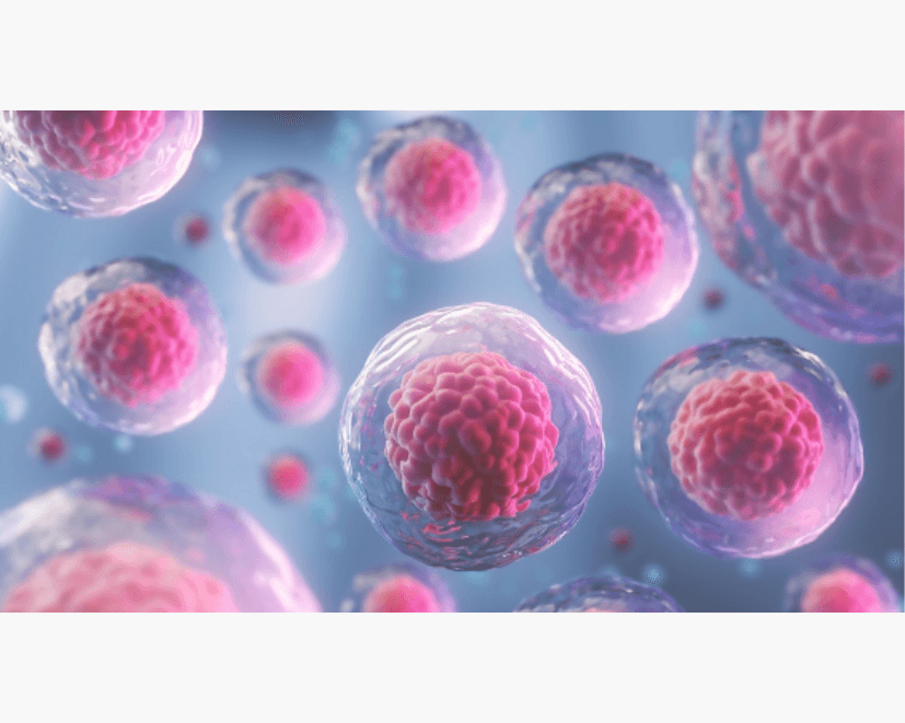 Unlocking the Power of Youthful Skin: How Umbilical Cord Blood Stem Cells and GDF-11 are Revolutionizing Skincare - Dermafirm USA