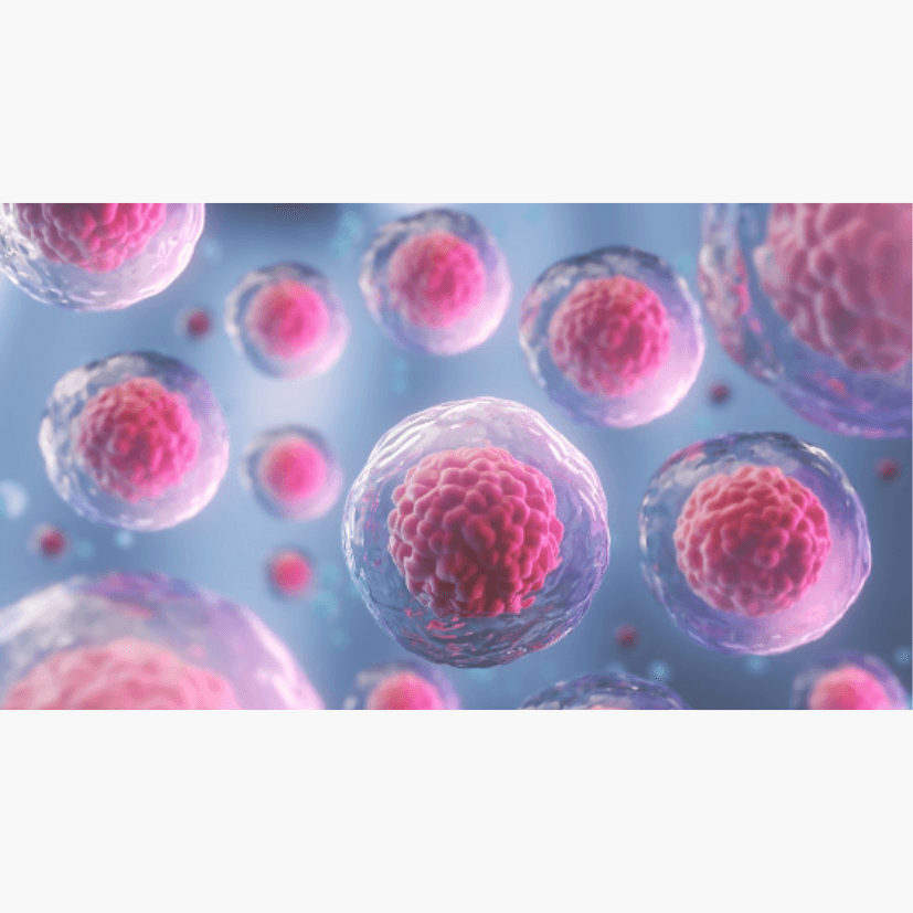 Unlocking the Power of Youthful Skin: How Umbilical Cord Blood Stem Cells and GDF-11 are Revolutionizing Skincare - Dermafirm USA