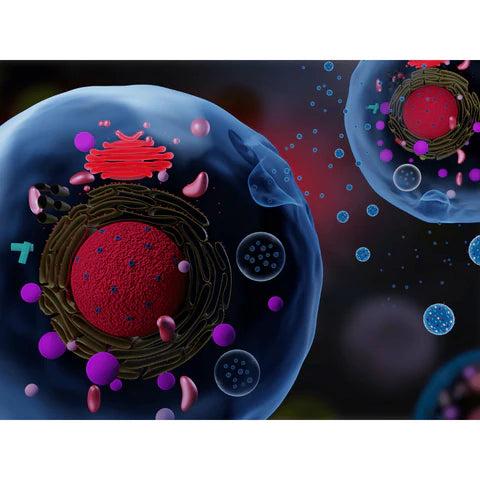 Exosome Skincare: The Next Generation of Skincare - Dermafirm USA