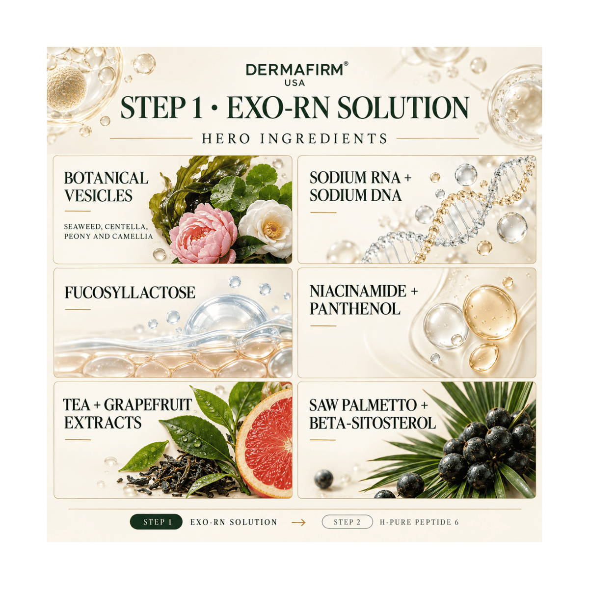 EXO-RN Solution (Part 1) - 5ml x 10 Vials