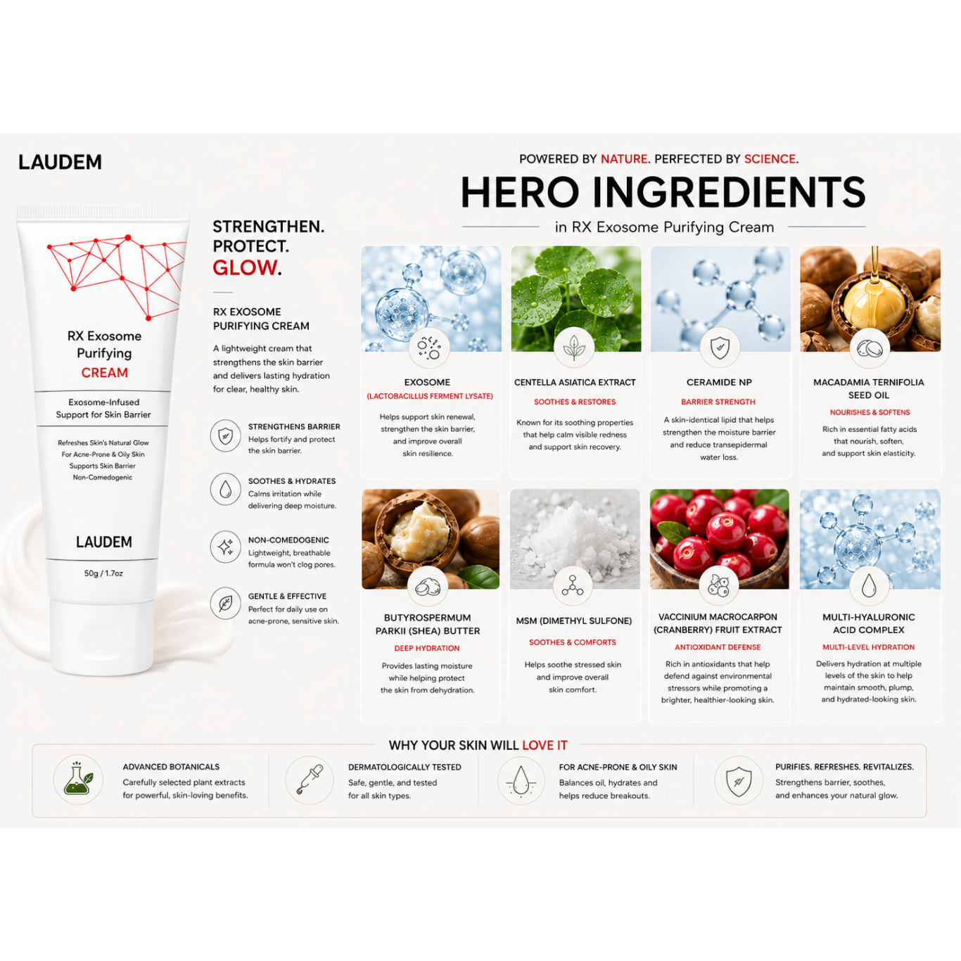 RX Exosome Purifying Cream - 50g