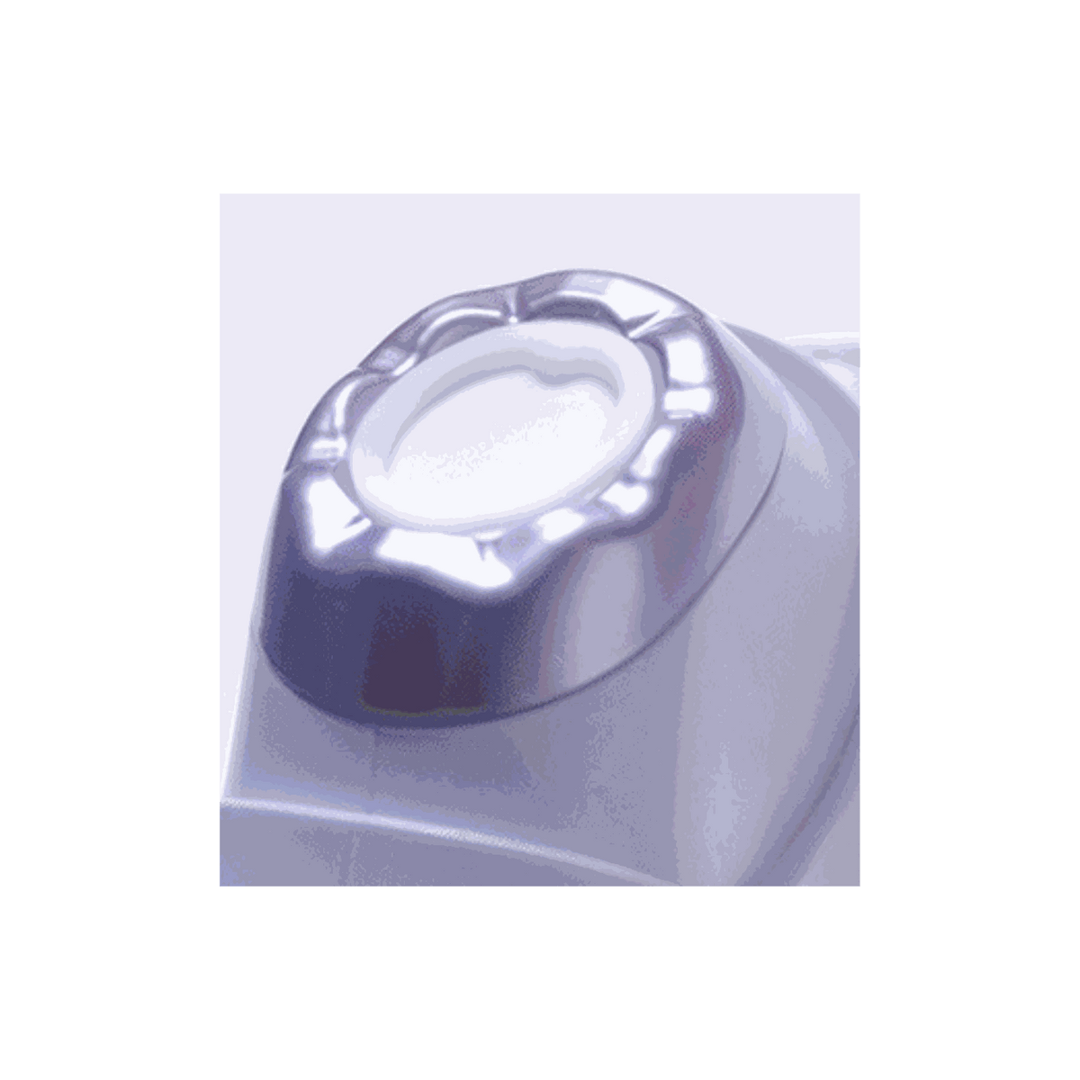 PRITTI - Anti-Debris Filter (30 pcs)