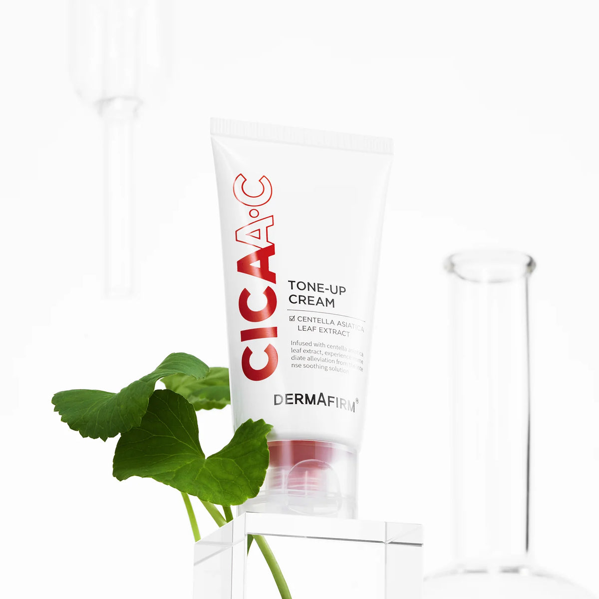CICAA.C Essence Toner & Tone-Up Cream
