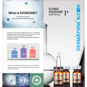 Rx Elysee Exosome PDRN Ampoule (4ml x 4)