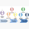 BallVic - Rainbow Pack (7 x 100g bottles) for Professionals - Dermafirm USA
