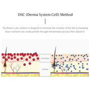 BIOTOC REGEN Serum - 5-Pack of 10ml (each) - Dermafirm USA
