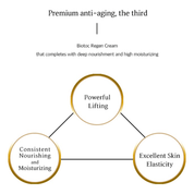 BIOTOC REGEN Cream - 50g - Dermafirm USA